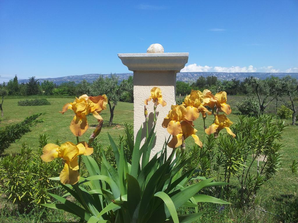 Bed and Breakfast Lamanderie En Provence Alleins Экстерьер фото